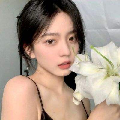 苍蓝断章单机版下载
